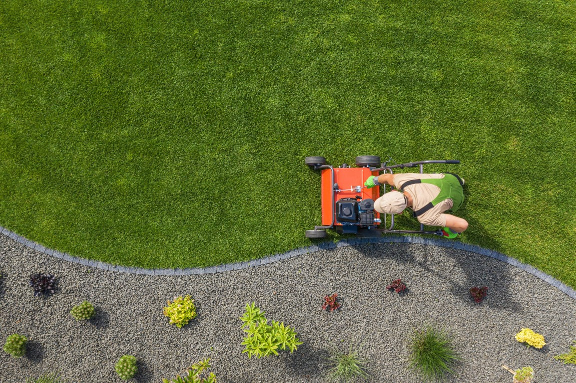 lawn maintenance